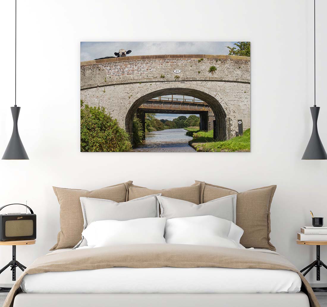 Cow Bridge 89 photograph by Laura Rojo large print over a bed