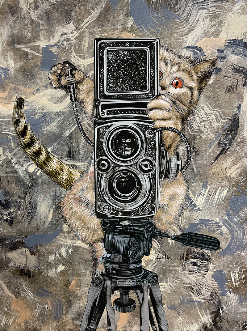 Catographer, Kitty photographer