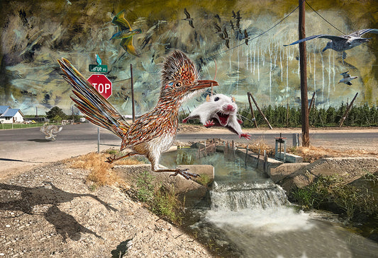 Correcaminos de Larue