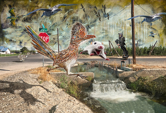 A surreal collage-style artwork showing a large brown and white bird in the foreground, a white mouse mid-leap beside a small stream, a stop sign, utility poles, a mural with flying birds, and a person riding a unicycle in the background. LaRue Road by Doug LaRue