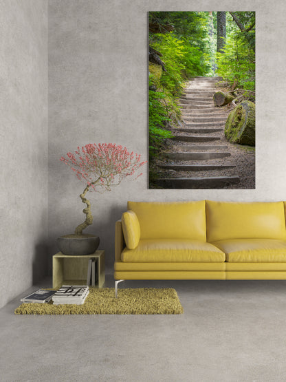 Saint Helens Stairway photograph by Doug LaRue over a pale yellow couch