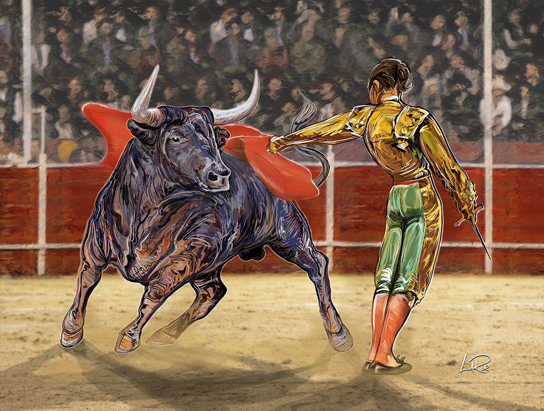 Matadore et Toro 