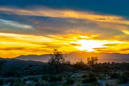 Joshua Tree Sunset by Doug LaRue