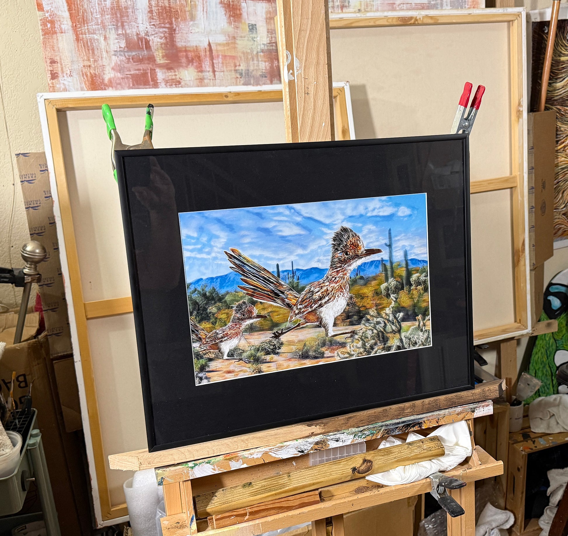 Road Runners in a 1620x1 BM Frame