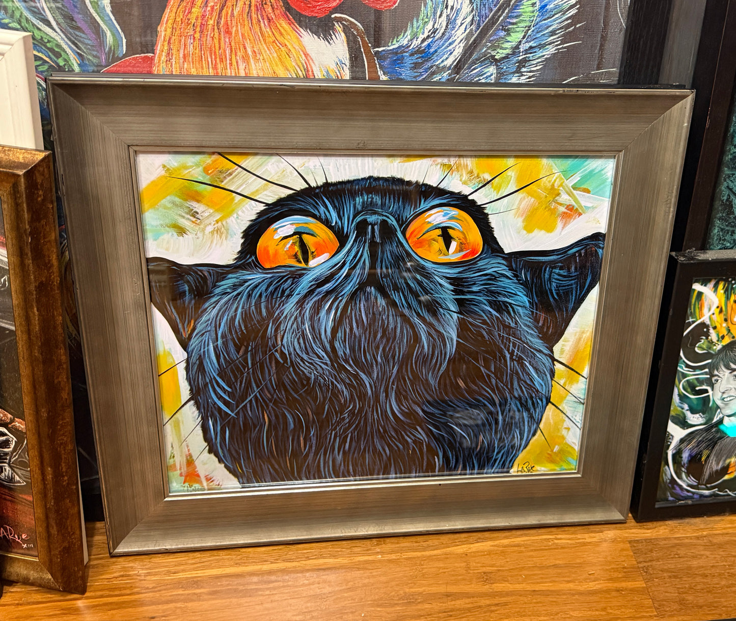 Gato observador del cielo