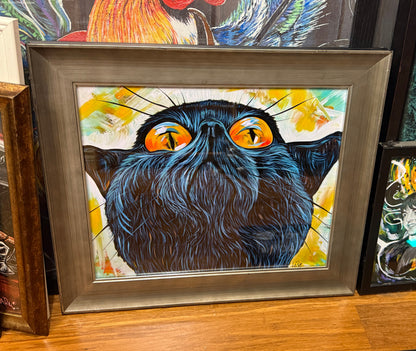 Gato observador del cielo