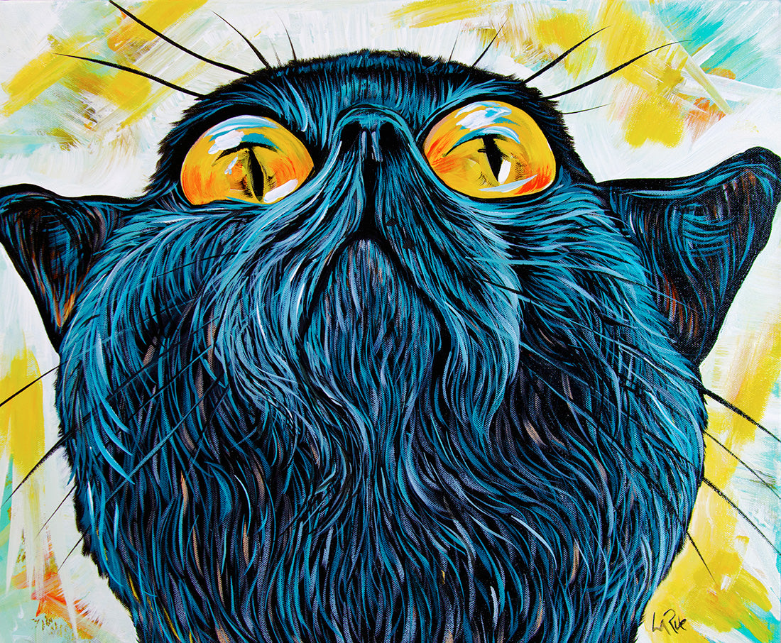 Gato observador del cielo