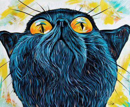 Gato observador del cielo