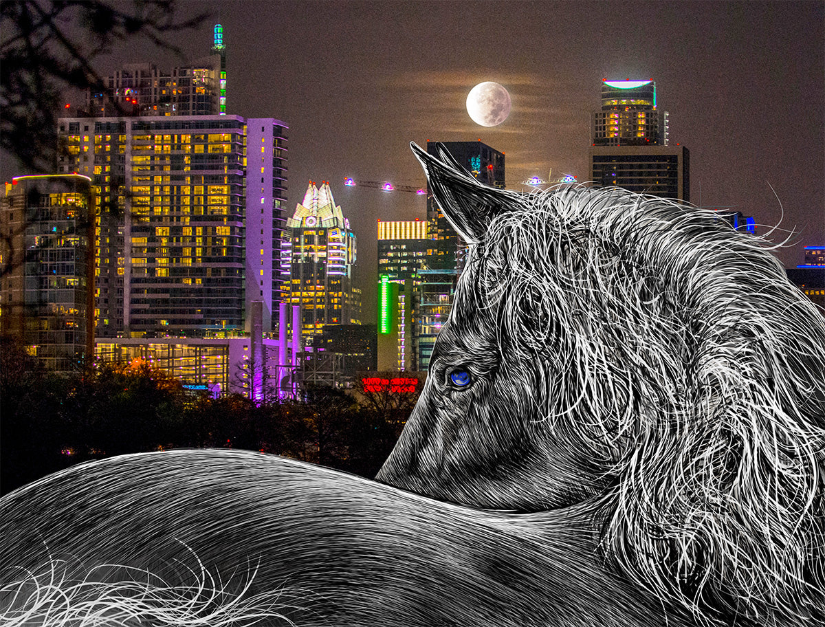 White Horse Austin Texas with city skyline at night