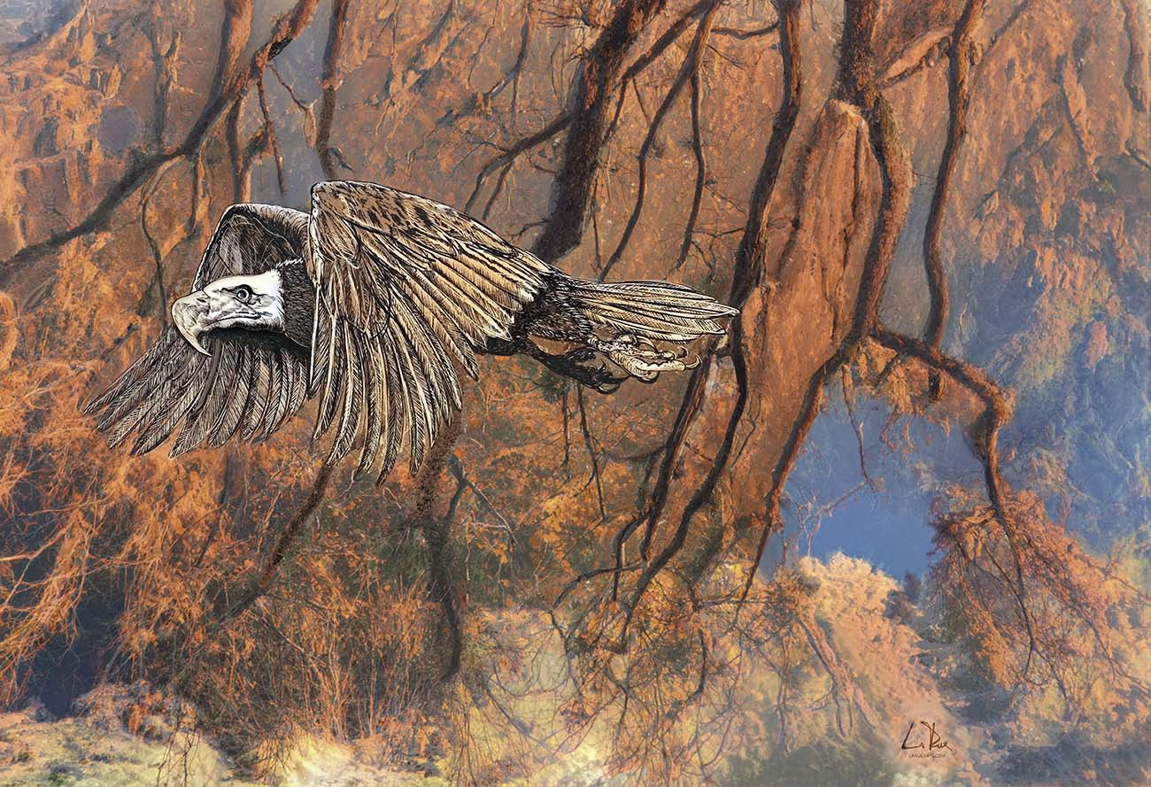 Full Sized uncrossed Golden Forest Eagle mixed media art by Doug LaRue