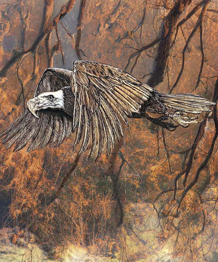 Golden Forest Eagle  mixed media art close up by Doug LaRue