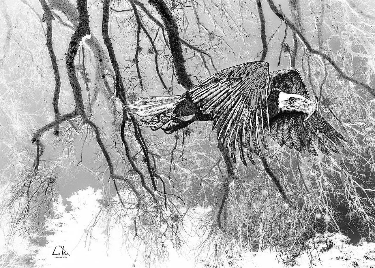 Forest Eagle mixed media by Doug LaRue