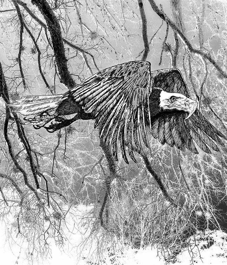 Forest Eagle mixed media by Doug LaRue cropped vertical