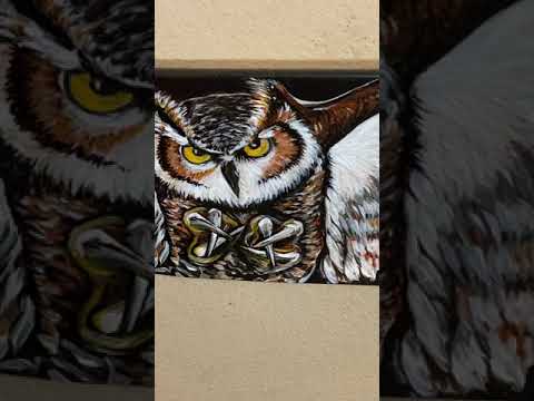 Owl painting on a  Skate Deck video