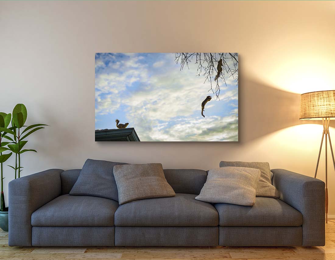 Squirrel Leap photograph by Doug LaRue large print over a couch