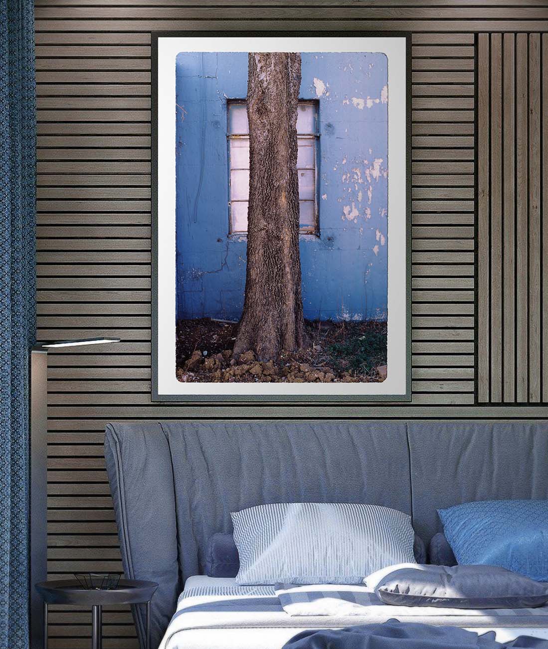 Tree View art photography by Doug LaRue large framed print on a wall over a bed